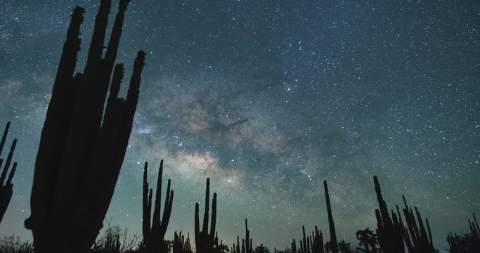 Milky Way and Saguaros