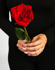 woman holding rose