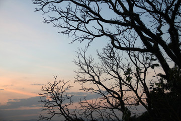 pôr-do-sol inverno
