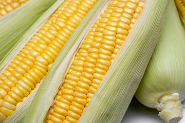 Sweet corn ears background