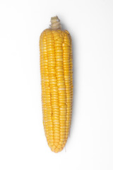 corn isolated on white background, closeup top view.