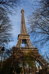 Eiffel Tower from park
