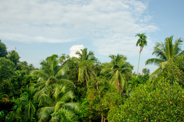 Fototapeta na wymiar Beautiful tropical landscape island Andaman Sea 