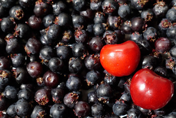 red cherries and black berries