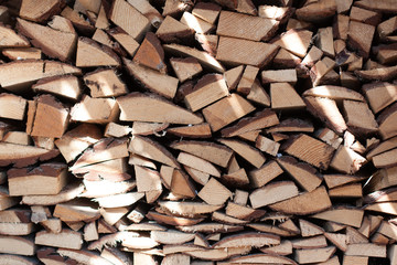 Folded split trees woods