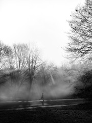 Runner in Fog