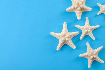 Fototapeta na wymiar Tropical holiday, minimalism and summer vacation concept with close up on a bunch of starfish isolated on minimalist blue background with copy space, top view and flat lay