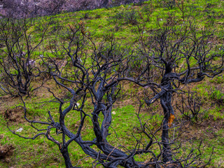 Wild nature at Gleninchaquin Park in Ireland