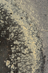 Yellow tree pollen dust on high pollen allergy day creating abstract design after rain on side of black asphalt road