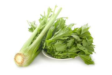 Fresh celery stalks on a white background