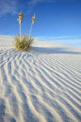 White Sands National Monument