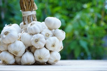 Fresh raw garlic bundle, copy space, kitchen raw ingredient concept