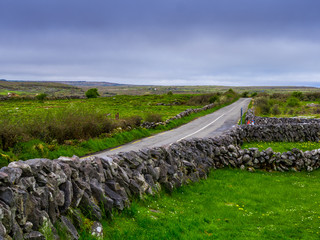 Typical Irish road through the nature
