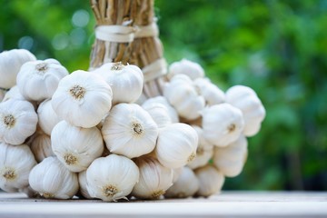 Fresh raw garlic bundle, copy space, kitchen raw ingredient concept