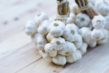 Fresh raw garlic bundle, copy space, kitchen raw ingredient concept