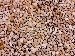 Crushed granite and pebble gravel texture.