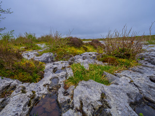 The rocky ground and bizarre stones at the Burren Ireland