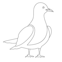 gull vector illustration  line drawing profile  coloring