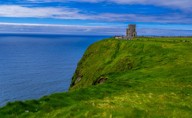 Fototapeta na wymiar The green grass and nature at the Cliffs of Moher in Ireland