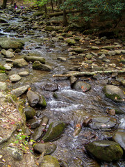 Stream running over rocks in creek bed