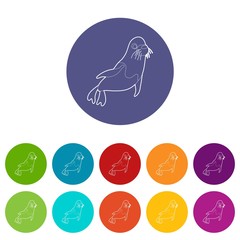 Fur seal icons color set vector for any web design on white background