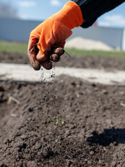The ground is scattered in the hand in the garden