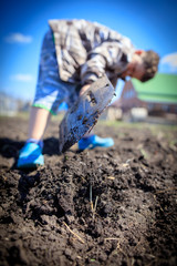 The boy is digging a shovel in the garden
