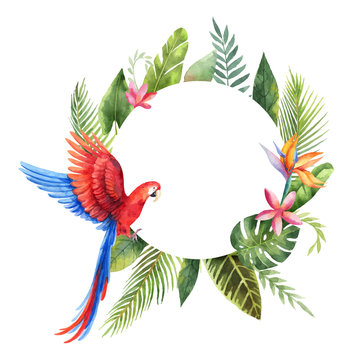 Watercolor vector frame with red parrot, tropical leaves and flowers isolated on white background.