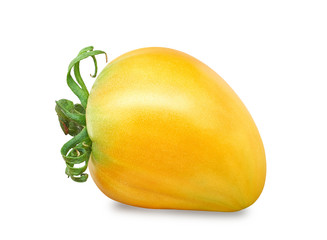 one ripe yellow tomato on a white background