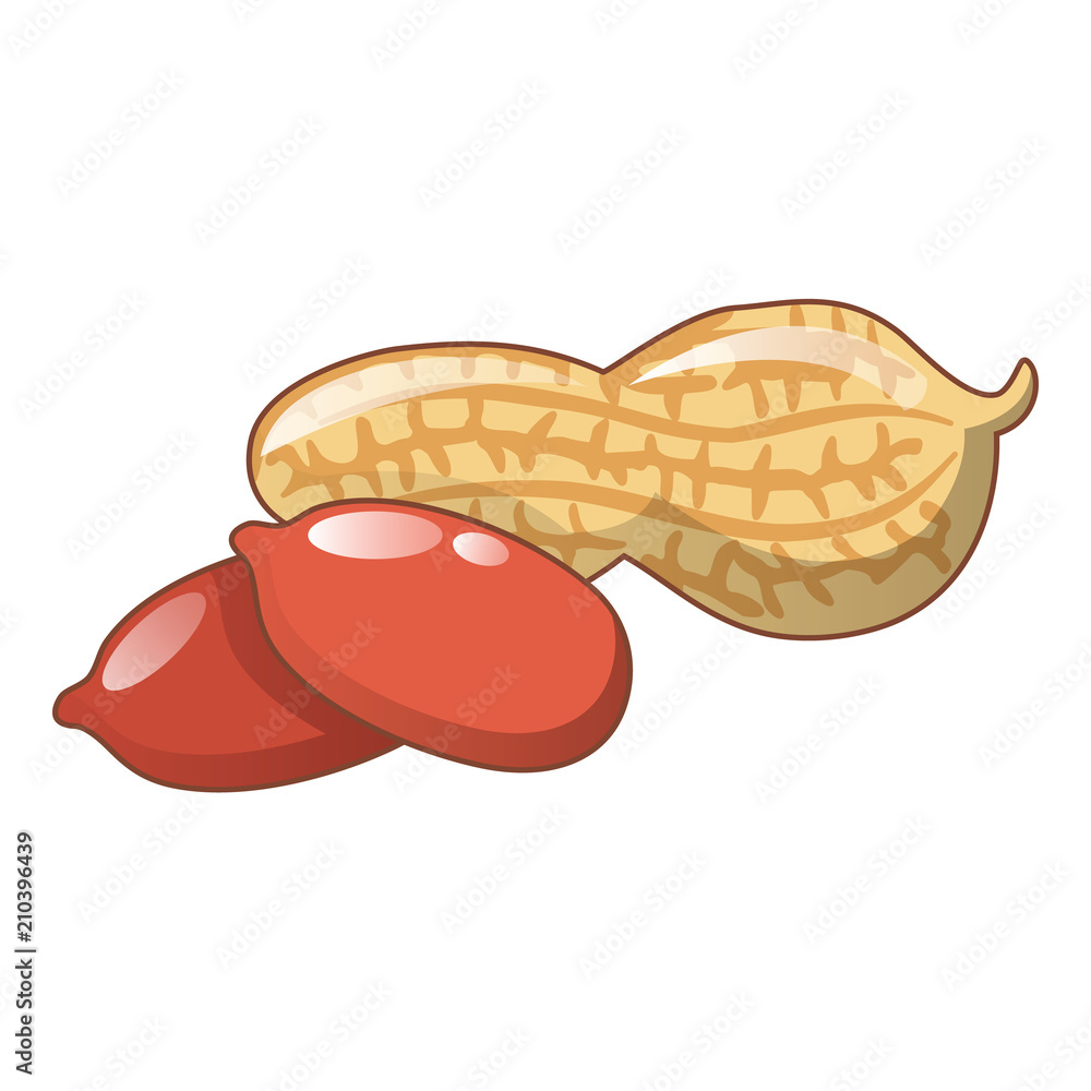 Poster peanuts icon. cartoon of peanuts vector icon for web design isolated on white background