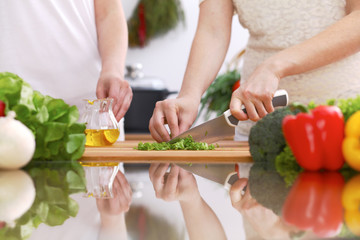 Closeup of human hands cooking in kitchen. Mother and daughter or two female friends cutting vegetables for fresh salad. Healthy meal, vegetarian food and lifestyle concepts