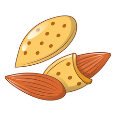 Almonds shell icon. Cartoon of almonds shell vector icon for web design isolated on white background