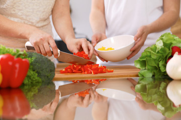 Closeup of human hands cooking in kitchen. Mother and daughter or two female friends cutting vegetables for fresh salad. Healthy meal, vegetarian food and lifestyle concepts