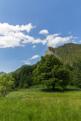 Fototapeta na wymiar Landscape in mountain with sky,clouds and trees
