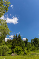 Landscape in mountain with sky,clouds and trees