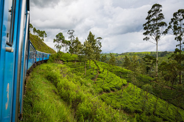 NUWARA ELIYA, SRI LANKA-APRIL 8: Old train on April 8, 2018 in Nuwara Eliya, Sri Lanka. Train on the tea plantations