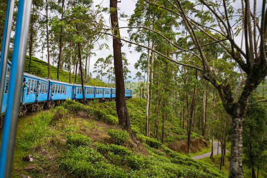NUWARA ELIYA, SRI LANKA-APRIL 8: Old train on April 8, 2018 in Nuwara Eliya, Sri Lanka. Train on the tea plantations