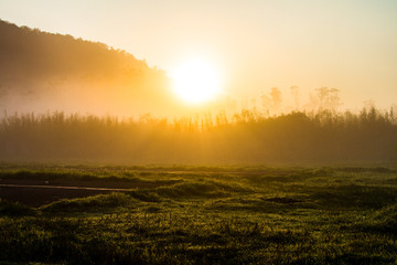 Fog in Jawa, Indonesia