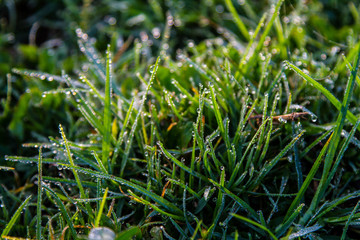 Fog in Jawa, Indonesia