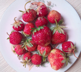 Strawberries on a plate