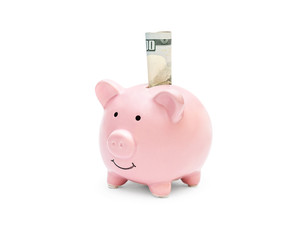 Folded money in piggy bank on white background.