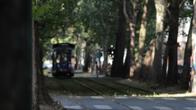 tramvia di Milano in una zona centrale della citt&agrave; con incroci e attraversamenti pedonali