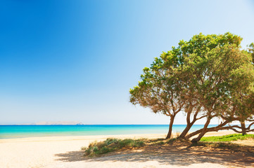 Fototapeta na wymiar Beautiful beach with turquoise water on Crete island, Greece.