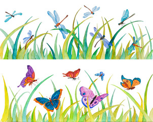 butterfly and dragonfly in watercolor
