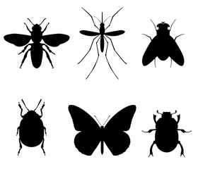 Set of icons insects . Insect kit: fly, mosquito, Colorado potato beetle, bee, butterfly