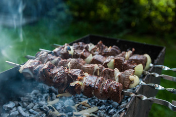 Appetizing barbecue shish kebab fried on charcoal grill outdoor