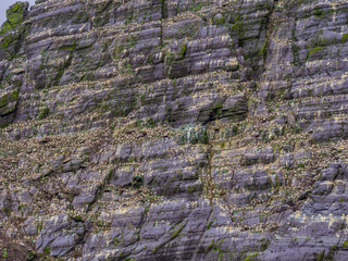 The Skellig Islands in Ireland - Puffin Island with its amazing wildlife