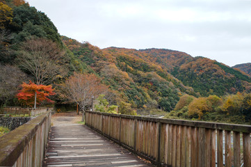 武田尾の紅葉（兵庫県、日本）