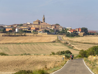 Pilgrims on the Camino between Los Arcos and Sansol - Navarre, Spain