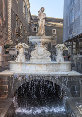 Fountain (fontana ) dell'Amenano, built in 1867  depicts river Amenano as a young man holding a cornucopia from which water is poured into a convex tank.